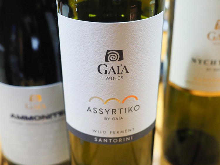 Gaia Wines, Koutsi, Greece