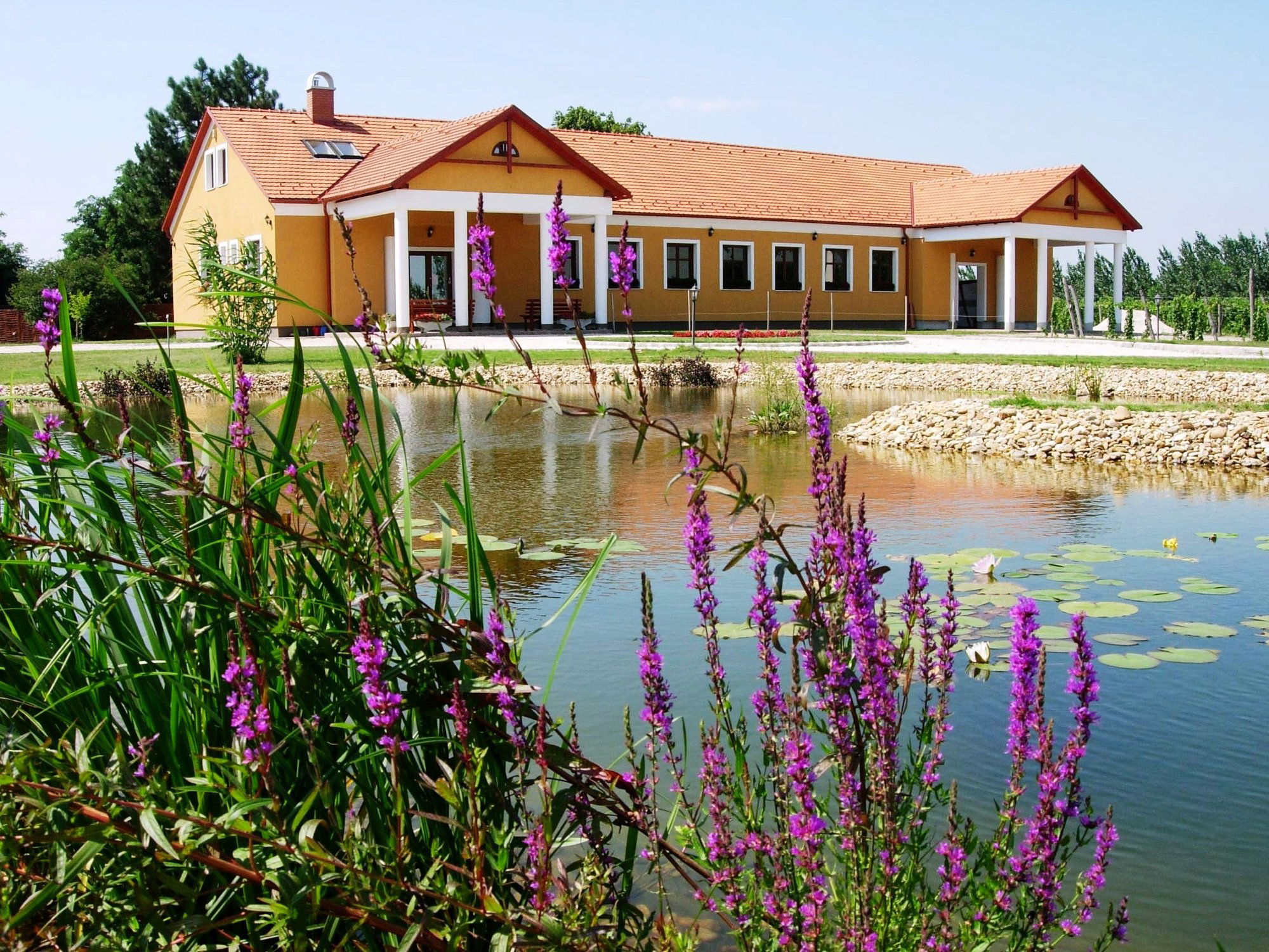 Gál Szőlőbirtok és Pincészet, Winery in Felsőlajos