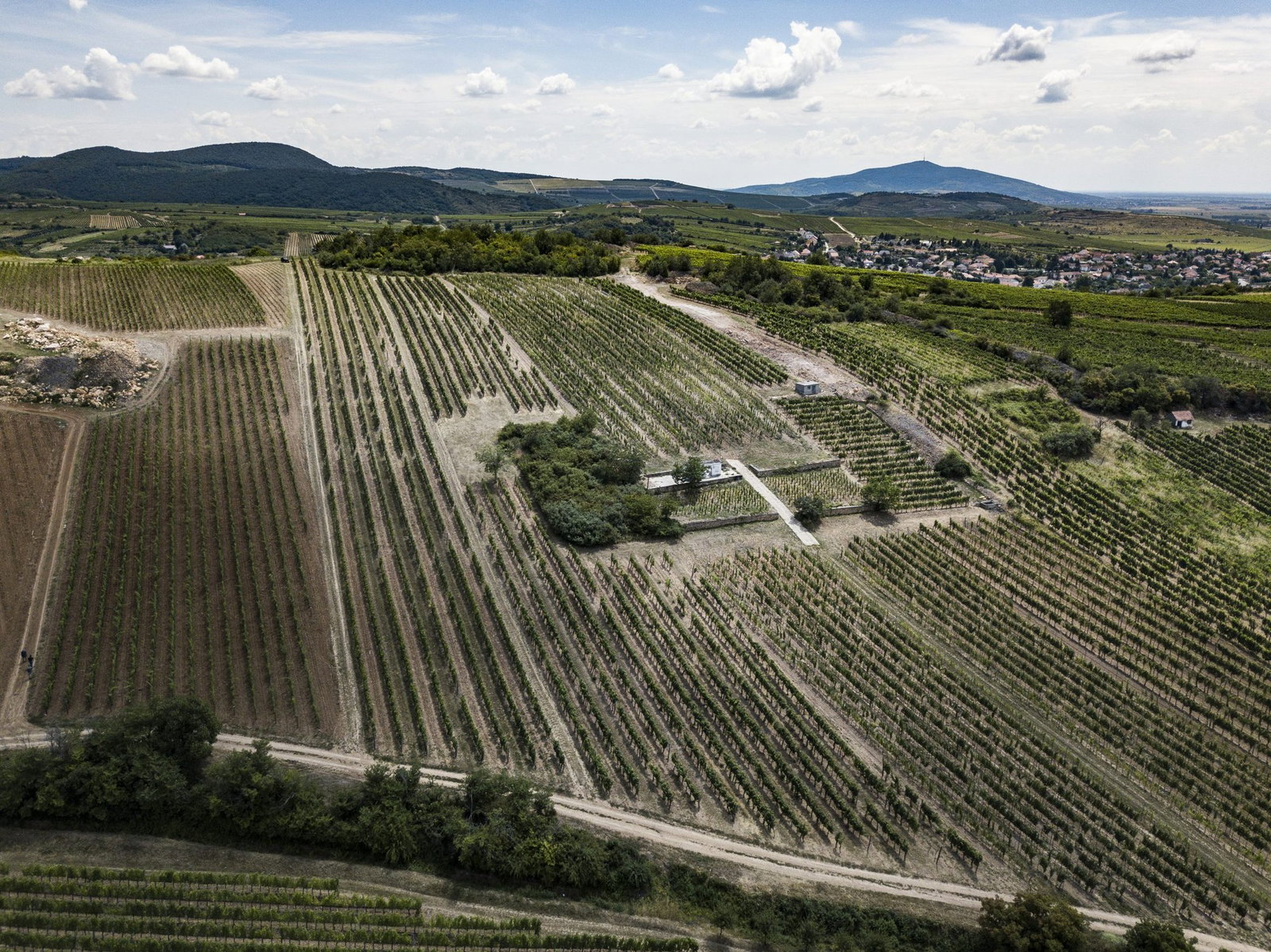 Zsirai Winery