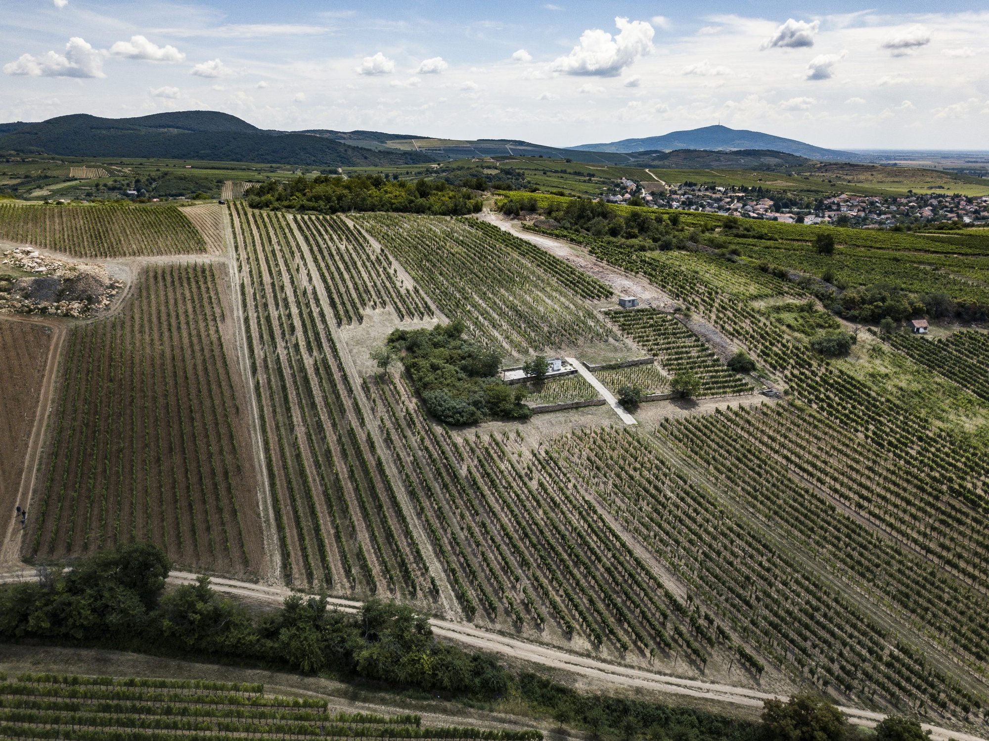 Zsirai Winery