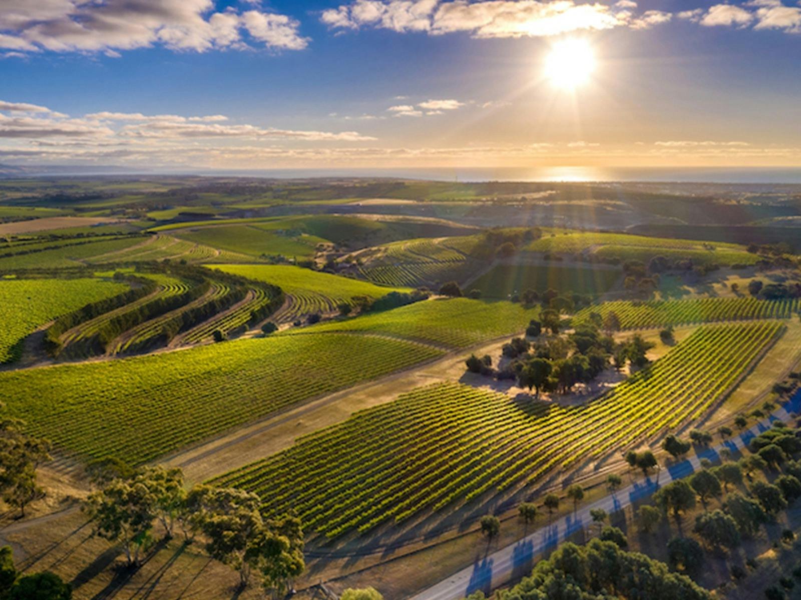 Dandelion Vineyards winery in McLaren Vale, Australia