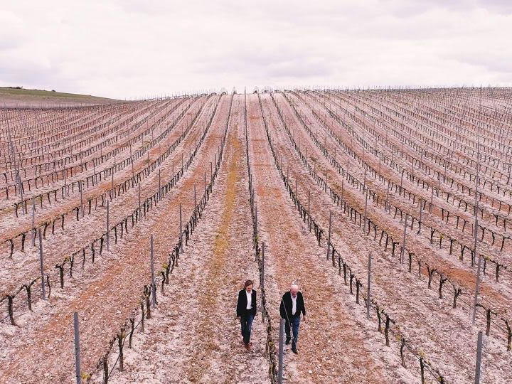 Tinto Pesquera (Alejandro Fernández), Pesquera de Duero, Spain