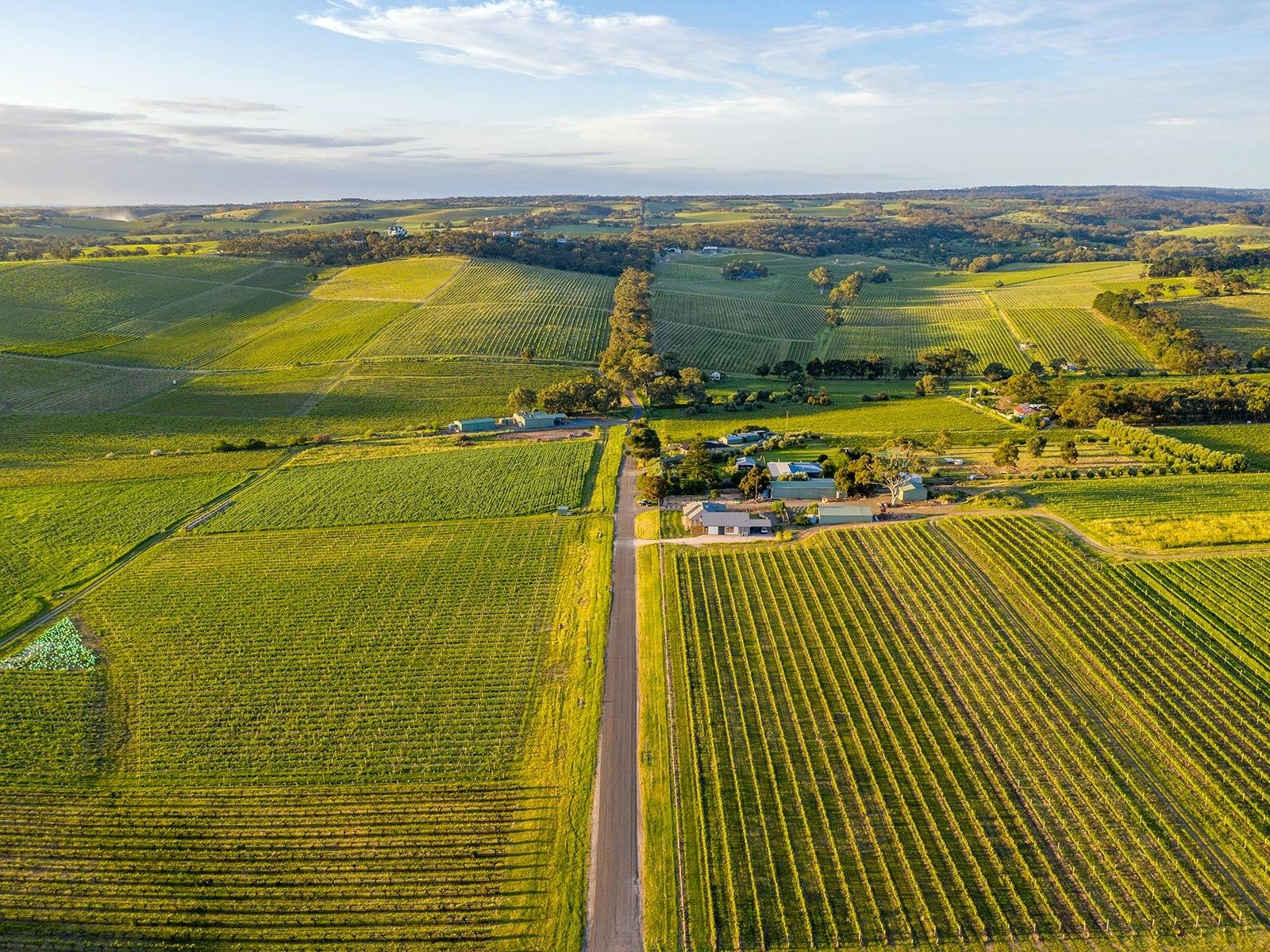 Bondar Wines