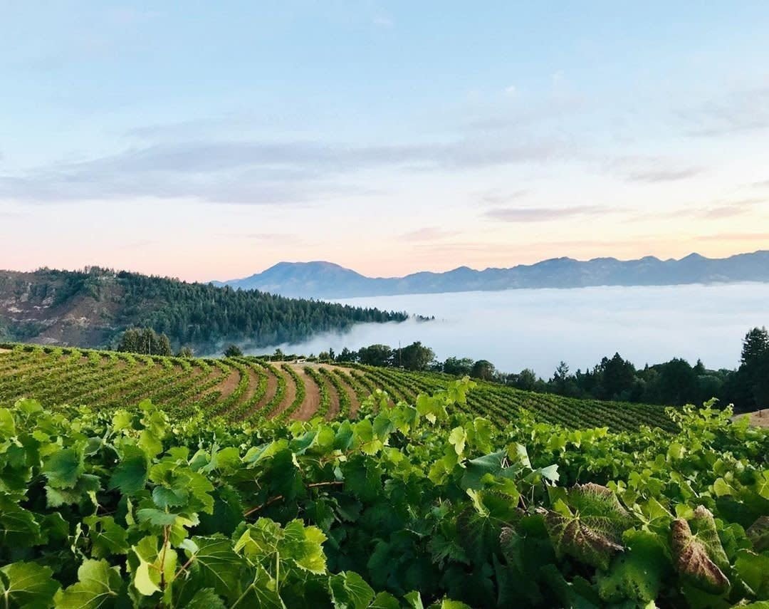 Smith-Madrone Vineyards & Winery