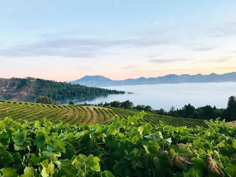 Smith-Madrone Vineyards & Winery, St. Helena, United States
