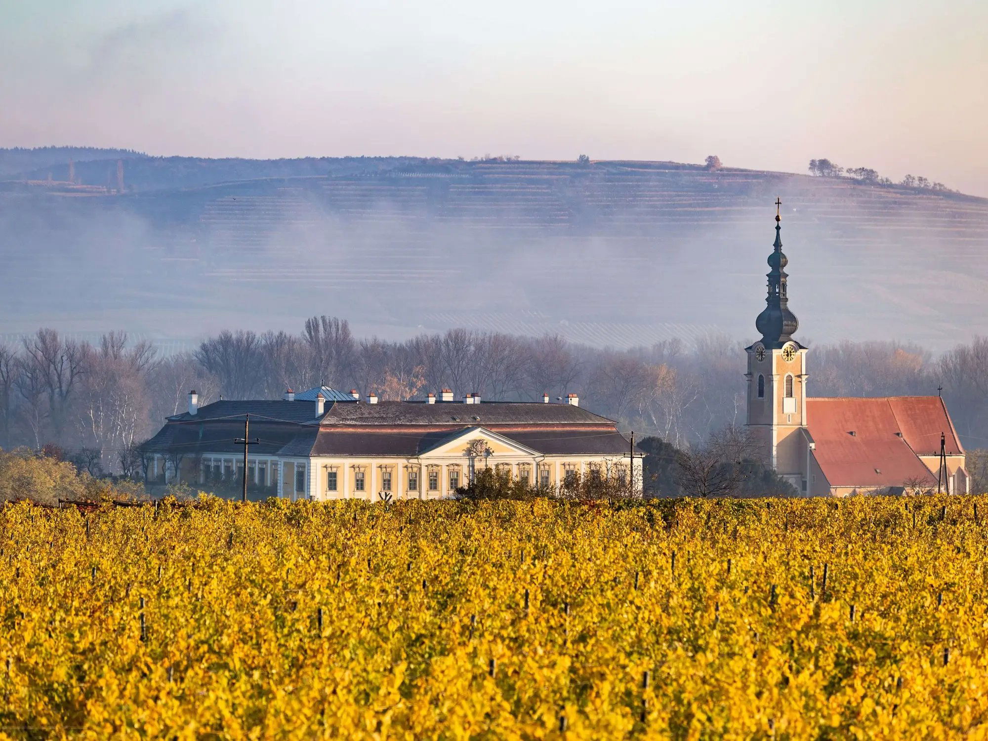Schloss Gobelsburg (Weingut), Winery in Langenlois