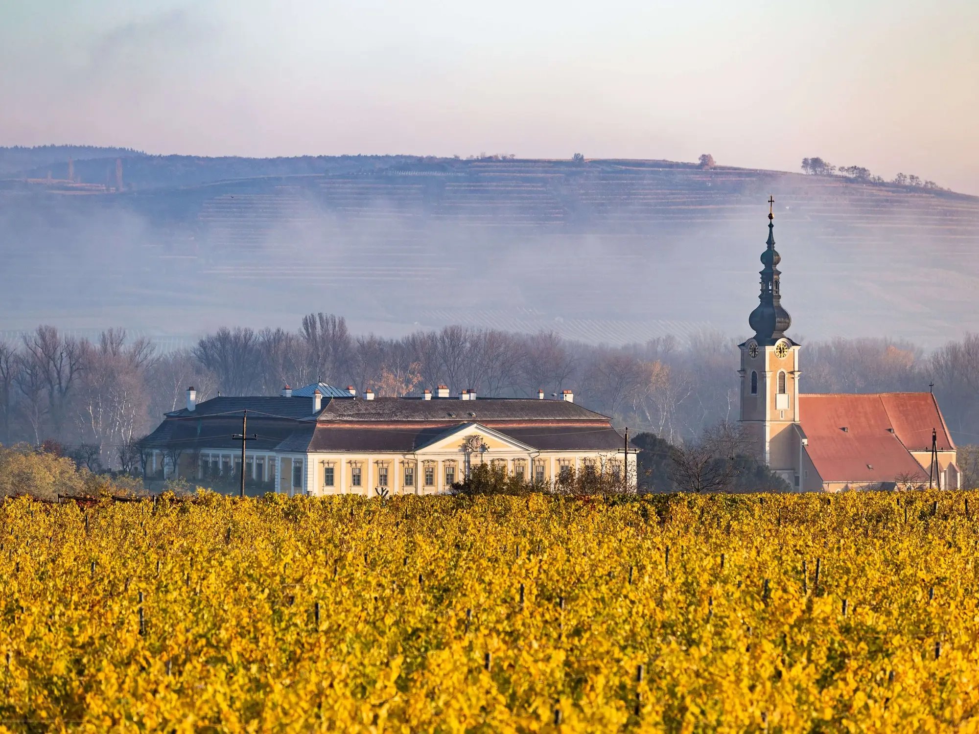 Schloss Gobelsburg (Weingut) winery in Langenlois, Austria