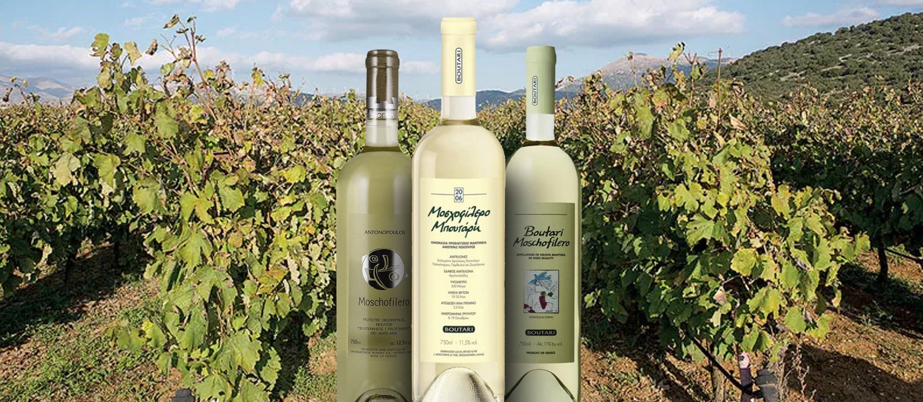 Vantana Distillery winery in Patras, Greece