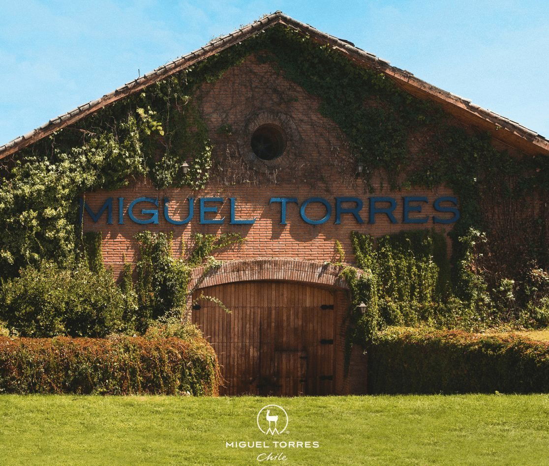 Miguel Torres Chile winery in Curicó, Chile