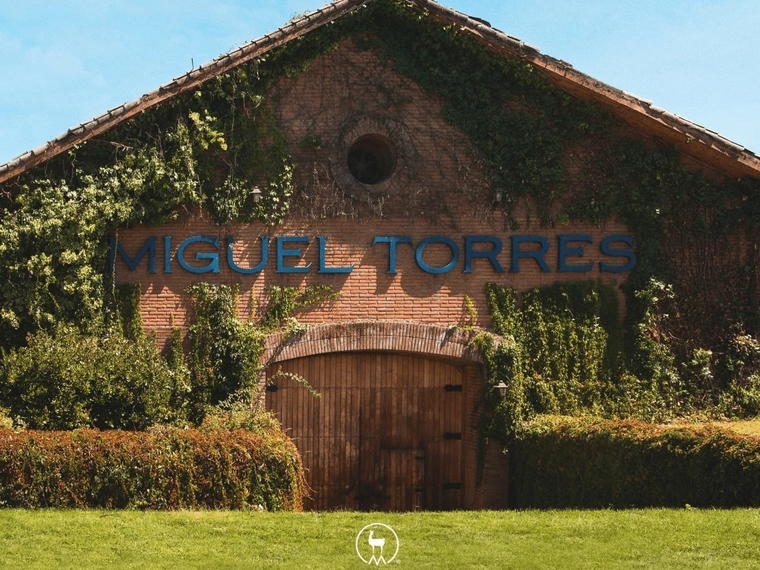 Miguel Torres Chile, Curicó, Chile