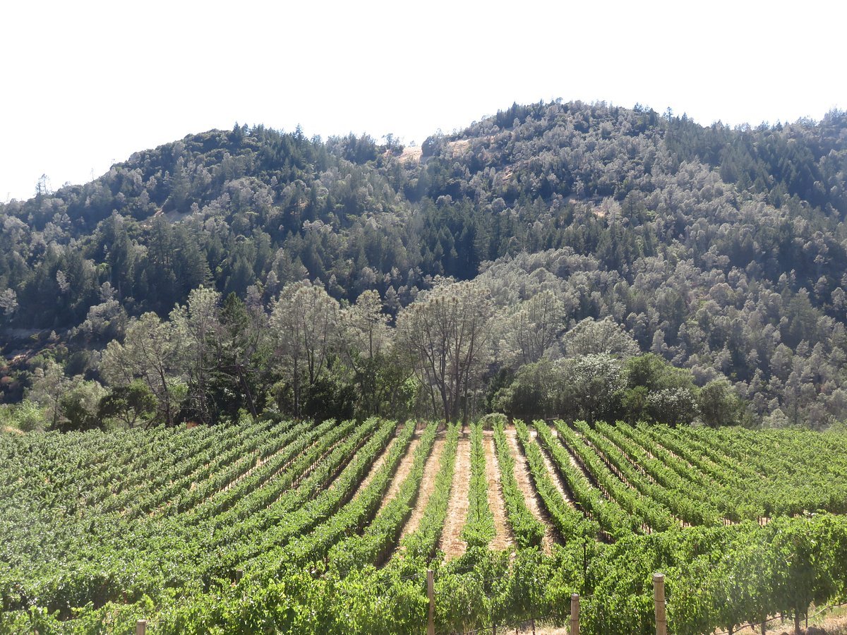O'Shaughnessy Estate Winery winery in Howell Mountain (Angwin area), United States