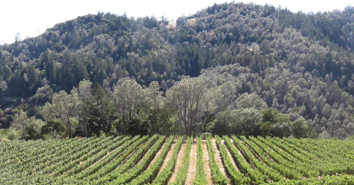Vari Angwin O'Shaughnessy Estate Winery, Howell Mountain (Angwin area) | En Primeur ...