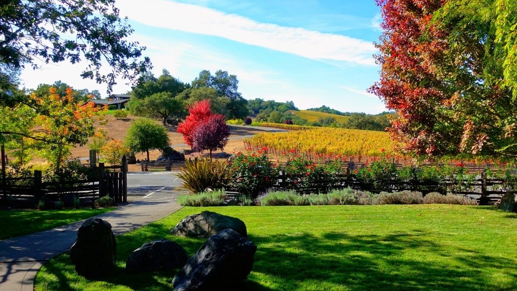 Arista Winery winery in Healdsburg, United States
