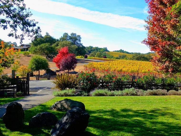 Arista Winery, Healdsburg, United States