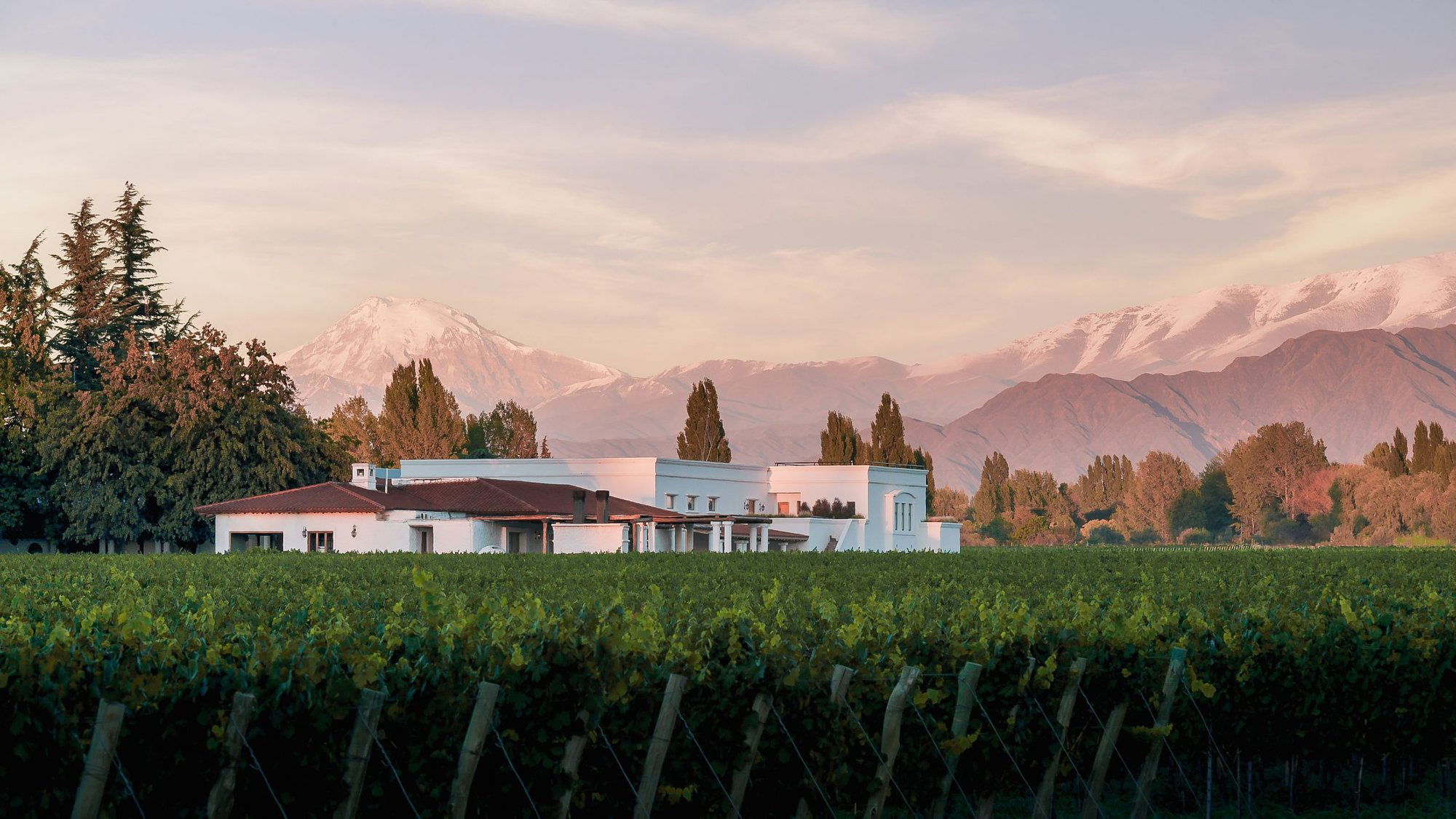Nieto Senetiner winery in Luján de Cuyo, Argentina