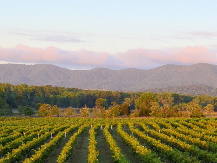 Lake's Folly, Hunter Valley, Australia