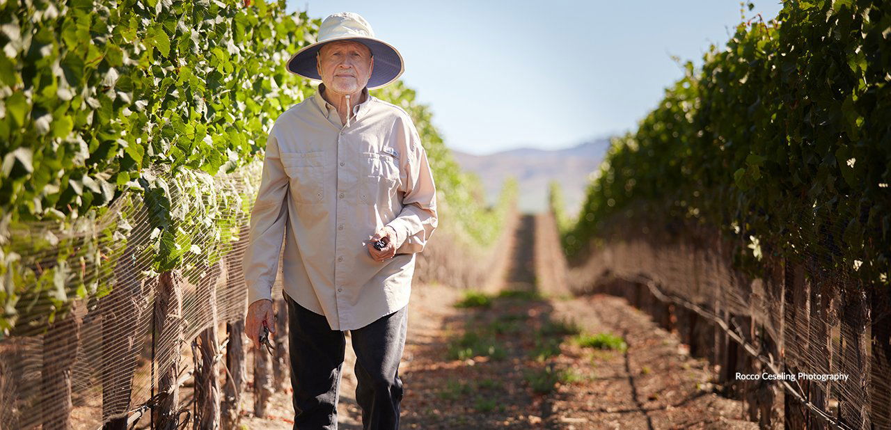 Ken Brown Wines, Winery in Buellton