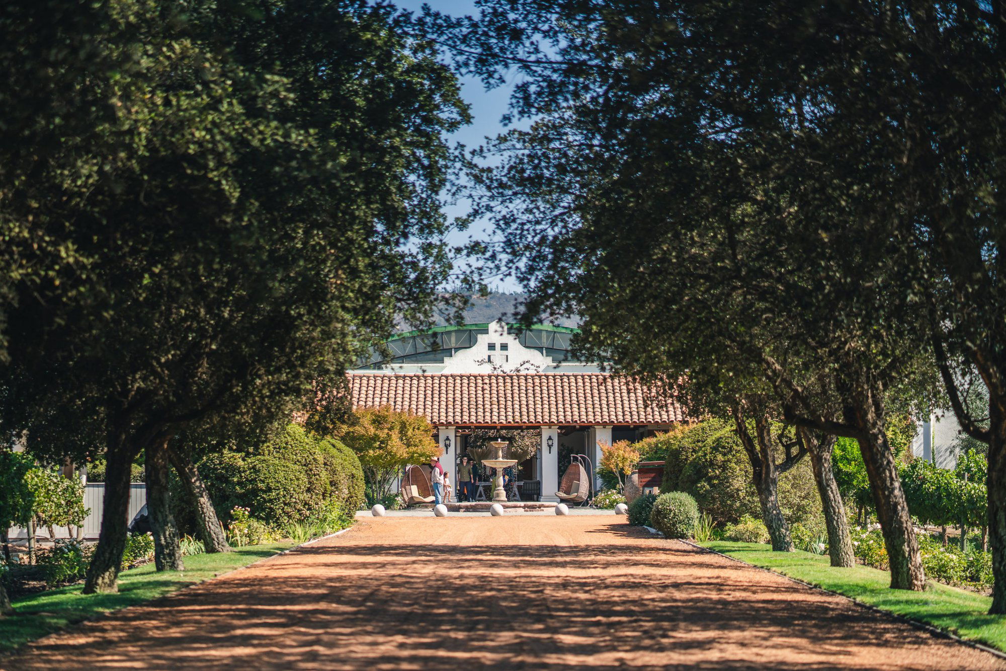 Casas del Bosque winery in Casablanca, Chile