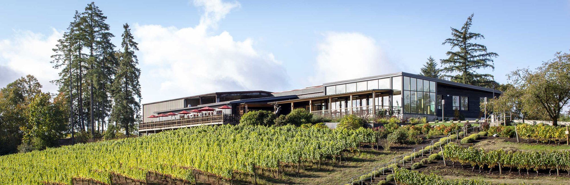 Elk Cove Vineyards, Winery in Gaston
