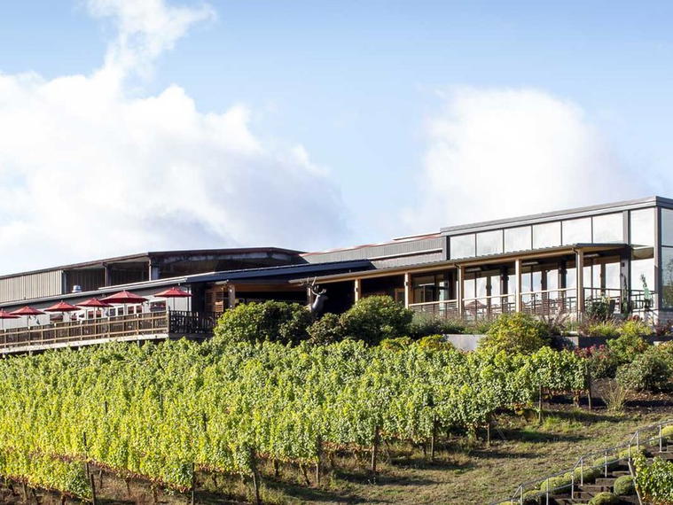 Elk Cove Vineyards, Gaston, United States