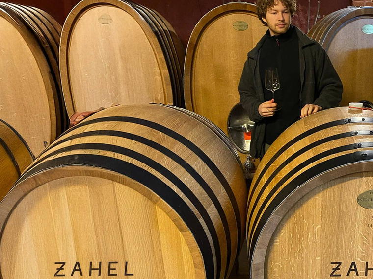 Weingut Zahel, Vienna, Austria