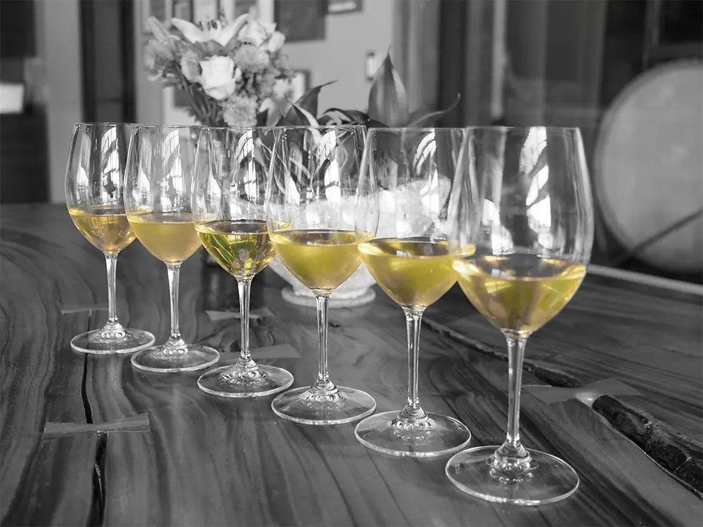 Monochrome Wines