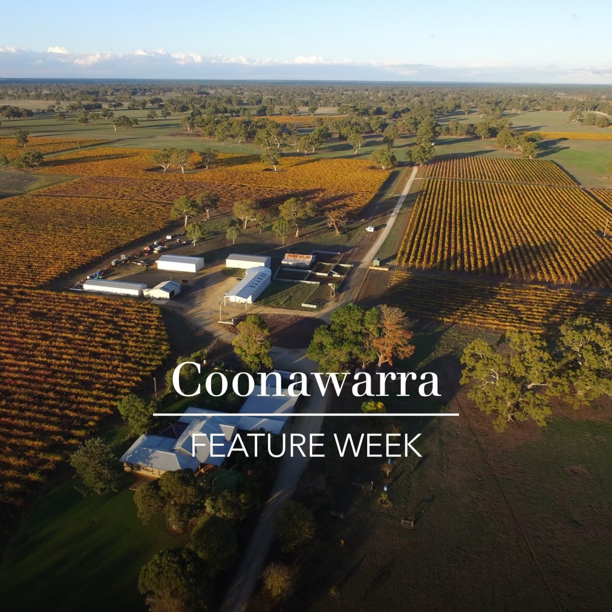 Majella Wines winery in Coonawarra, Australia