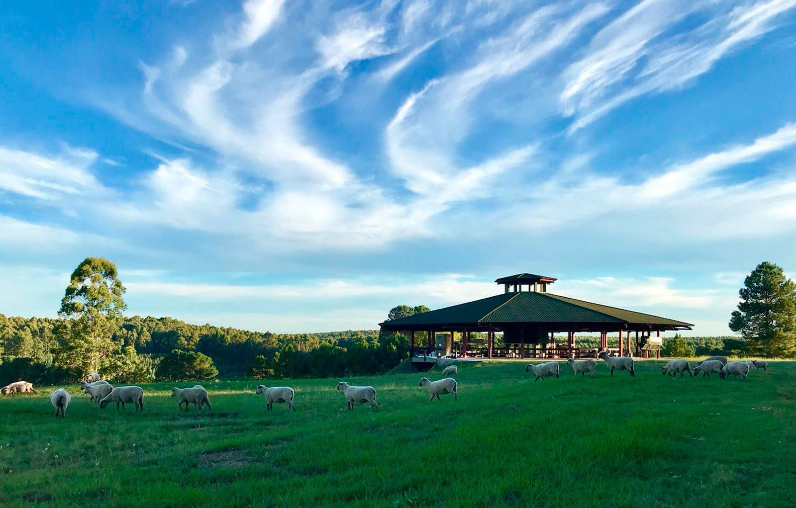Cerro Chapeu (Carrau) winery in Rivera, Uruguay